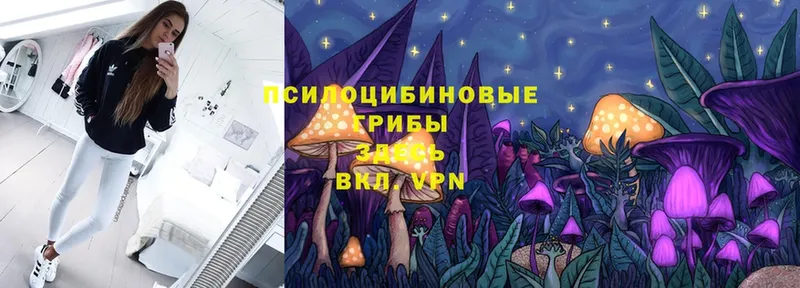 Галлюциногенные грибы мухоморы  blacksprut ONION  Мыски 